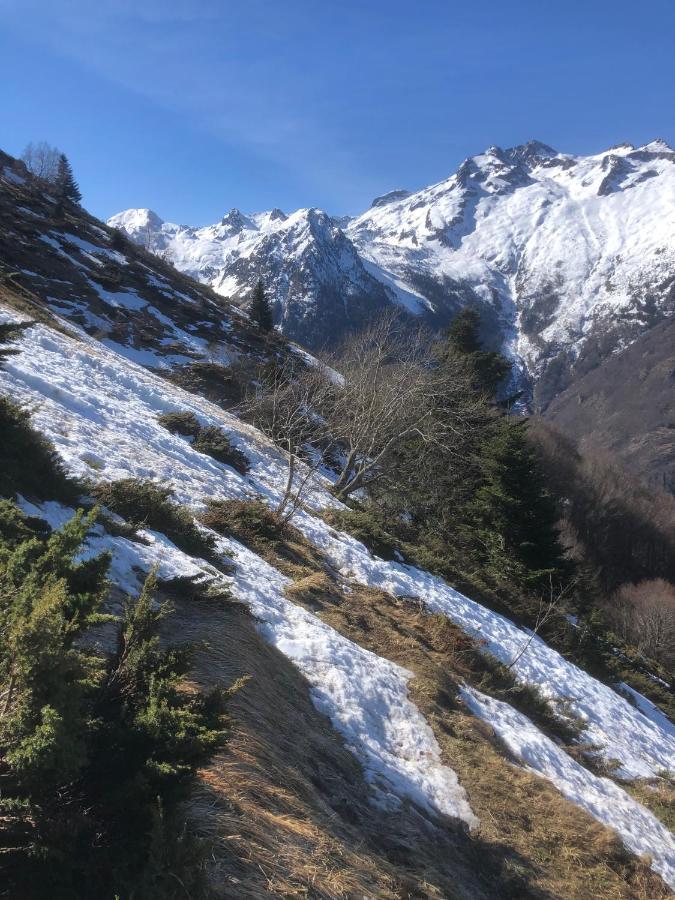 La Petite Maison Des Montagnes Luz-Saint-Sauveur Εξωτερικό φωτογραφία